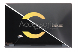Module écran d'ordinateur portable 15.6 pouces Asus