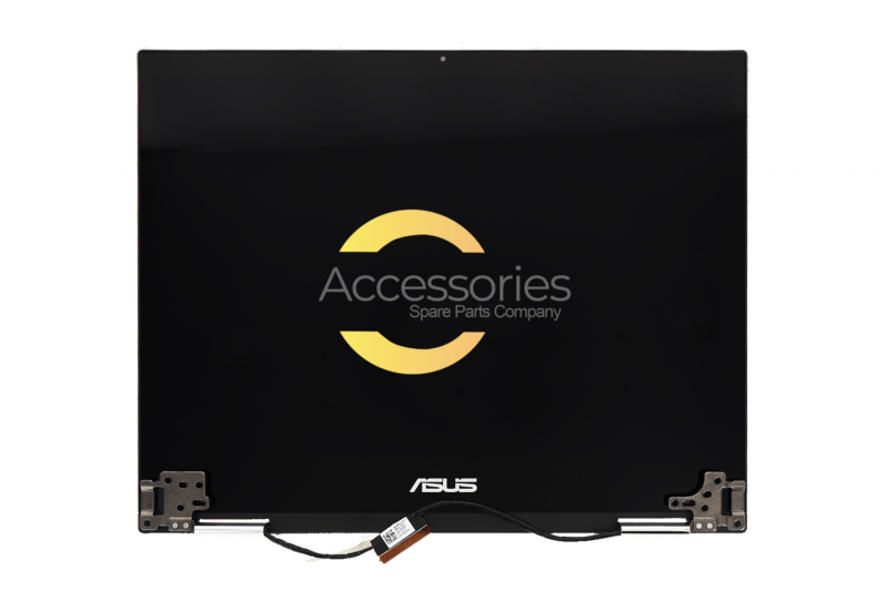 Module écran argenté HD+ LCD 12'' Asus