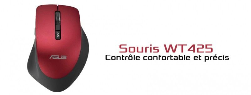 Souris WT425